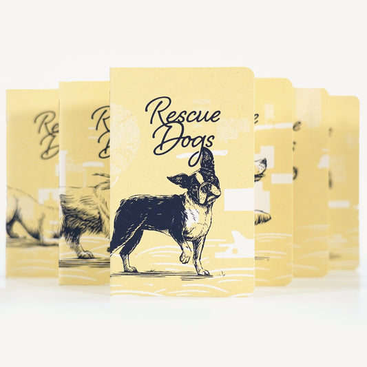 RESCUE DOGS - 6-pack