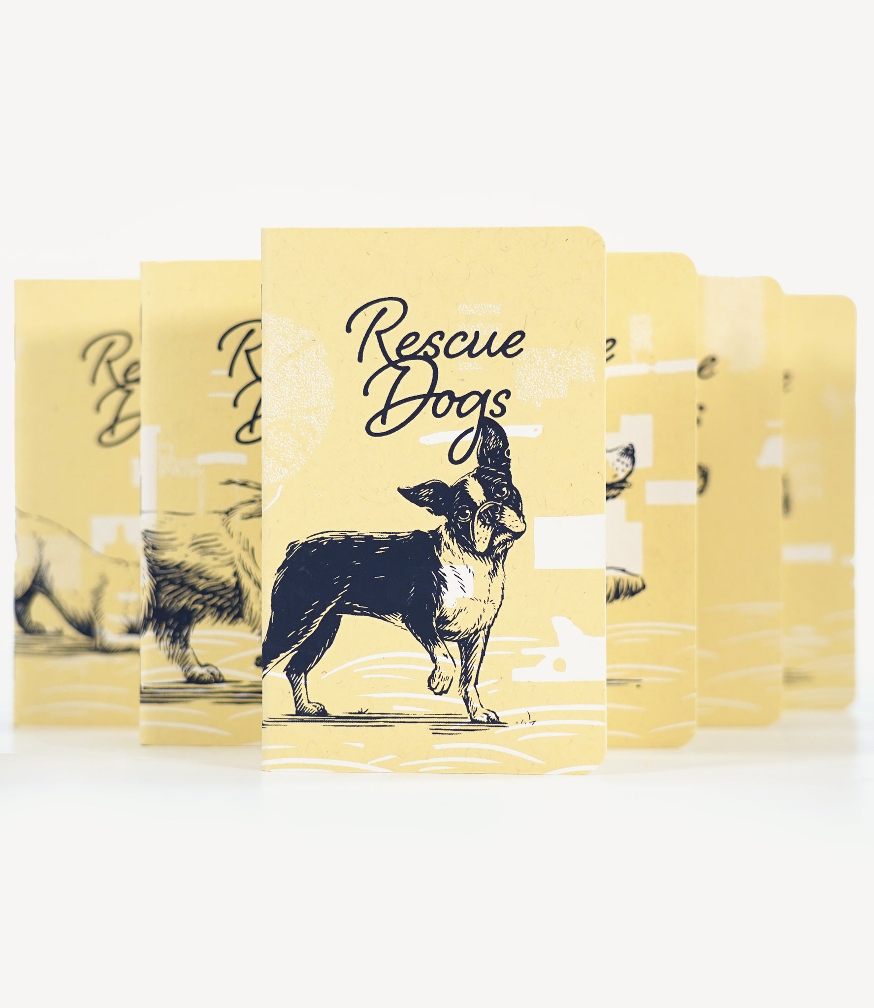 RESCUE DOGS - 6-pack